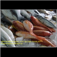 29573 05 0055 Fischmarkt, Al Ain, Abu Dhabi, Emirate 2017.jpg